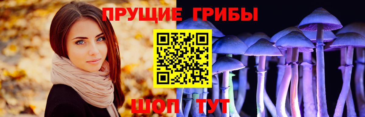 Ульяновск  Псилоцибиновые грибы мицелий  Вход с VPN 